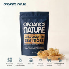 Gel de sea moss en licuadora ORGANICS NATURE para batidos nutritivos