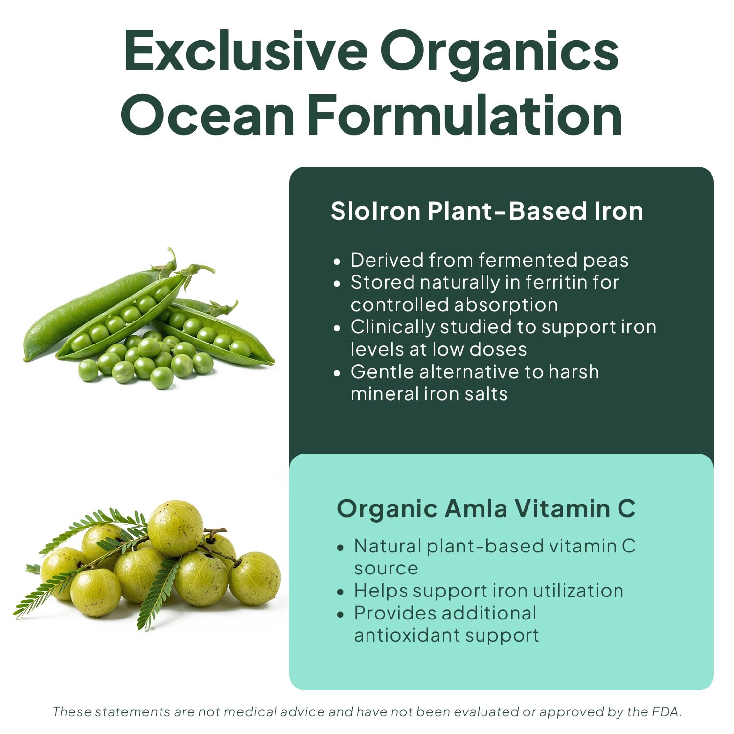 Organics Ocean cápsula en mano para apreciar tamaño y facilidad