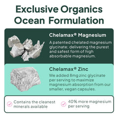 Organics Ocean capsula en mano para comparar tamaño y facilidad