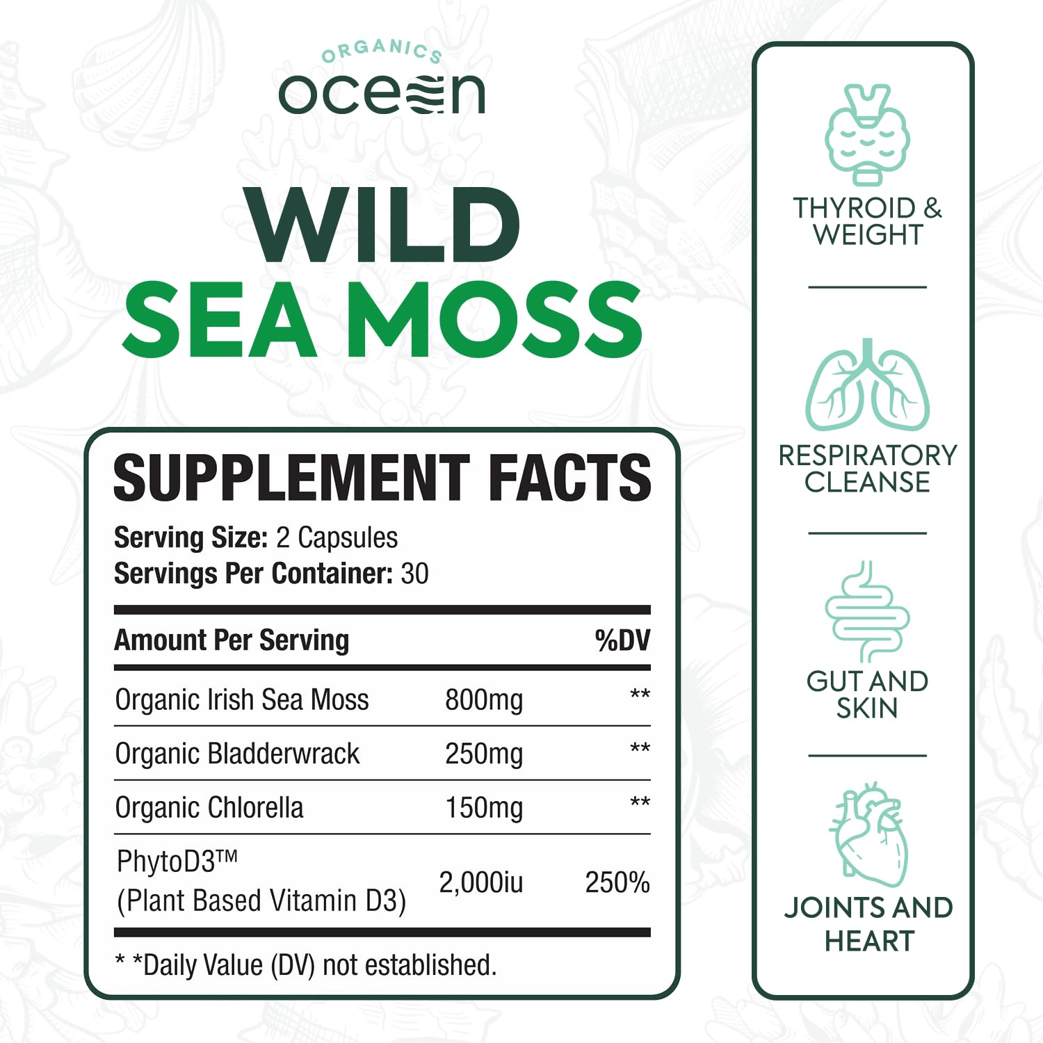 Detalle de cápsulas Organics Ocean mostrando textura y pureza del producto