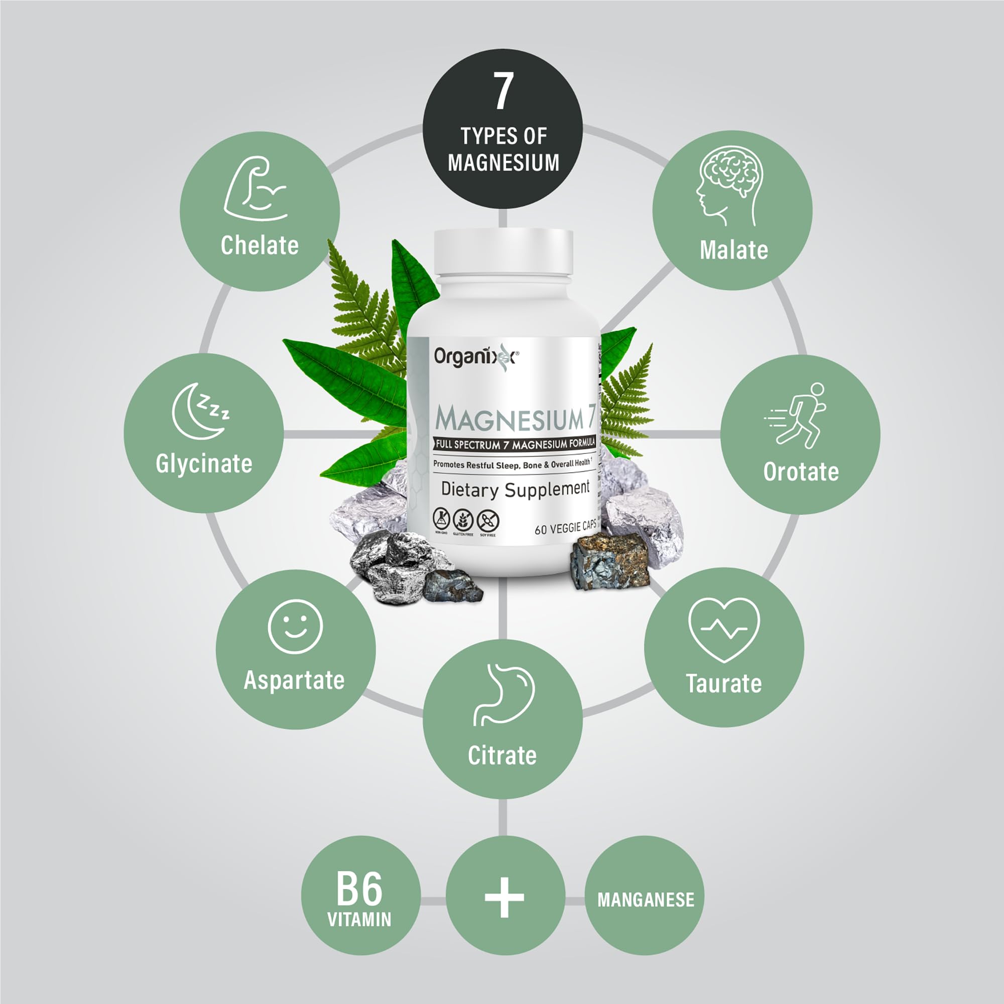 Organixx Magnesium 7 junto a una regla para mostrar tamaño del envase