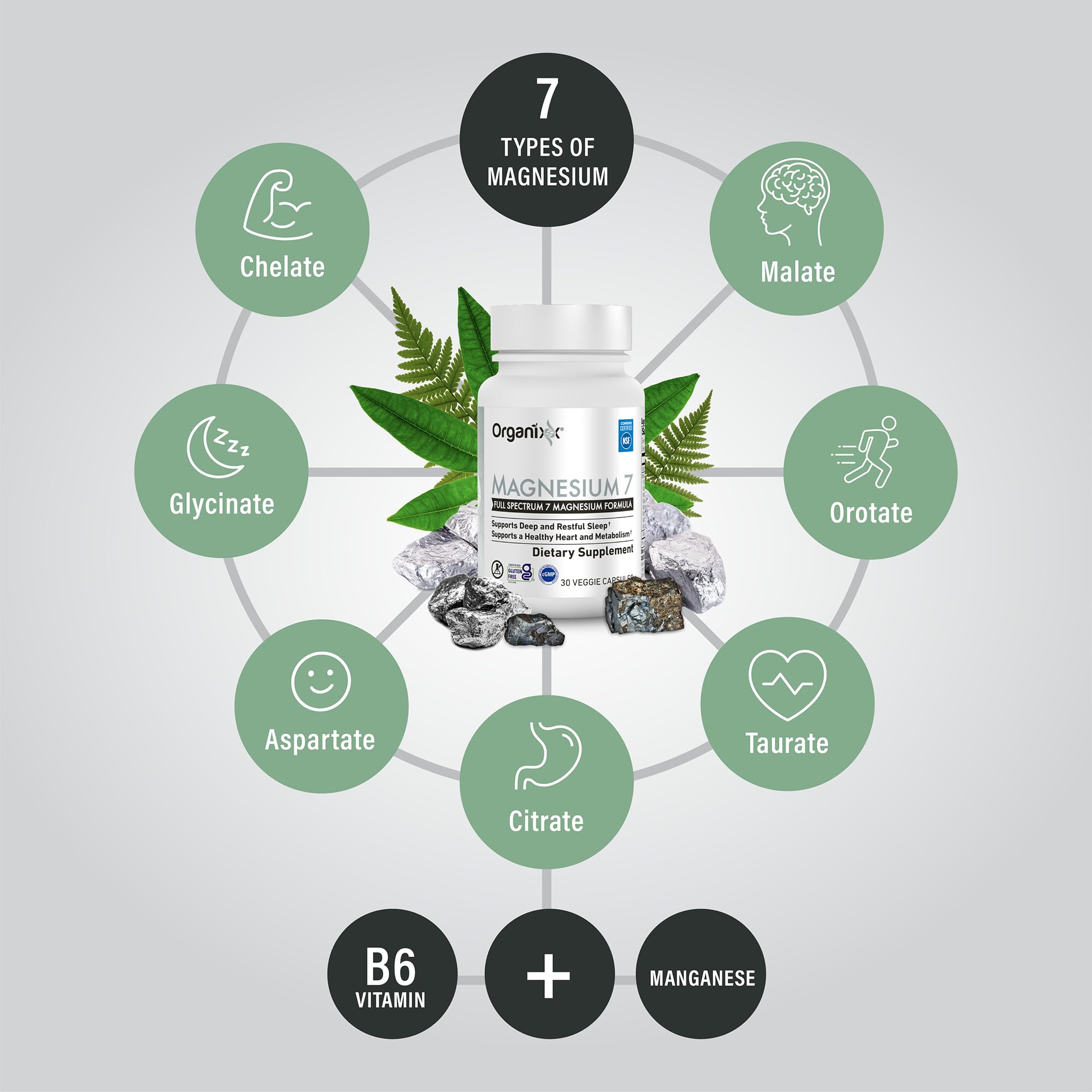 Organixx magnesium 7 detalle de contenido de cápsula mostrando textura pura