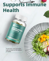 ORGMO ingredientes supergreen como spirulina y chlorella en primer plano