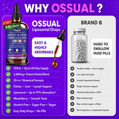 Comparación de tamaño de Ossual en mano, frasco compacto y duradero