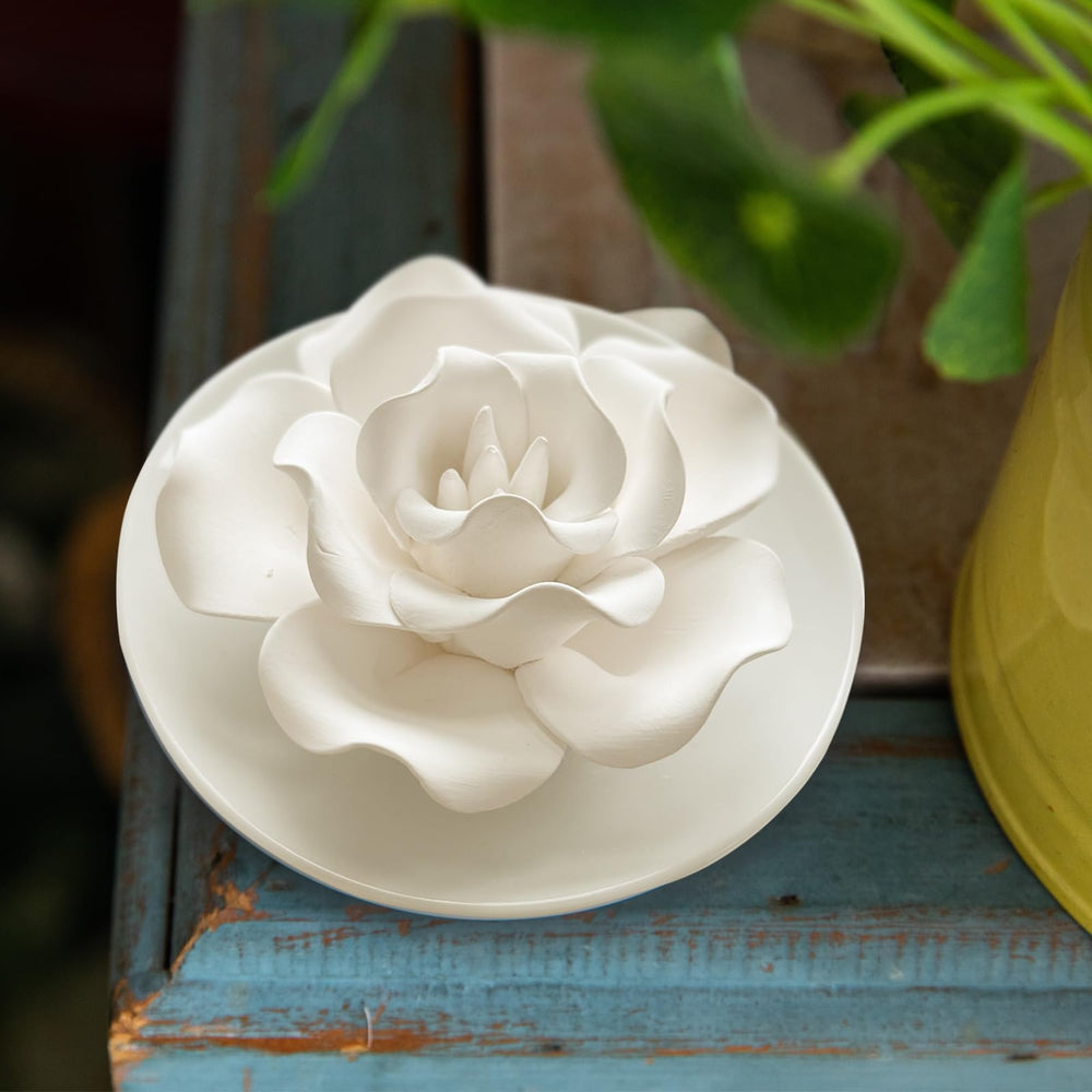 oumeiben flor absorbente detalle que libera aceite lentamente