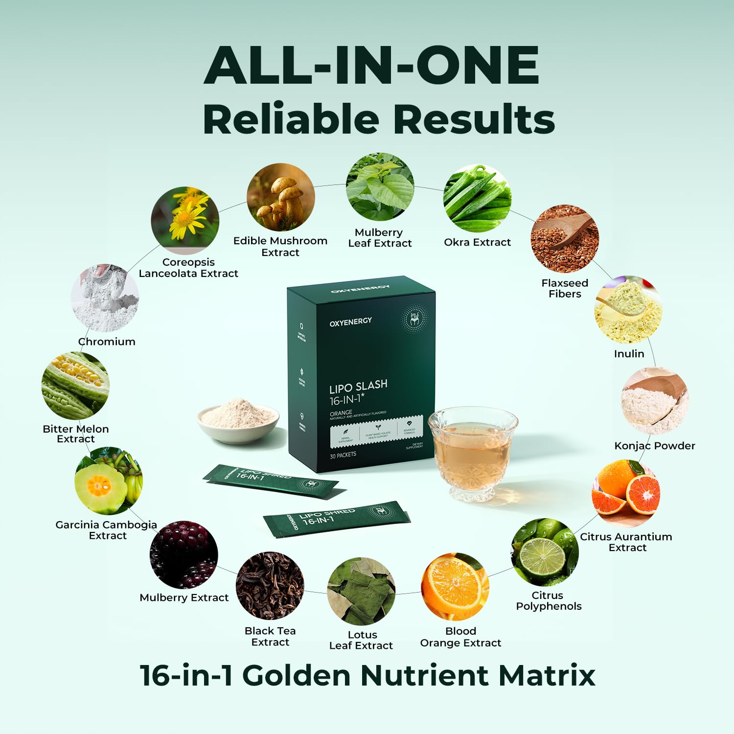 OxyEnergy hojas y raíces que ilustran ingredientes botánicos naturales