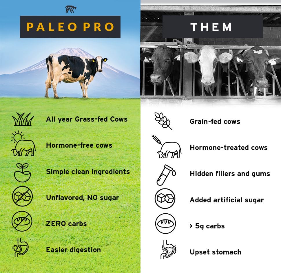 Paleo Pro escena de estilo de vida en gimnasio para energía postentreno