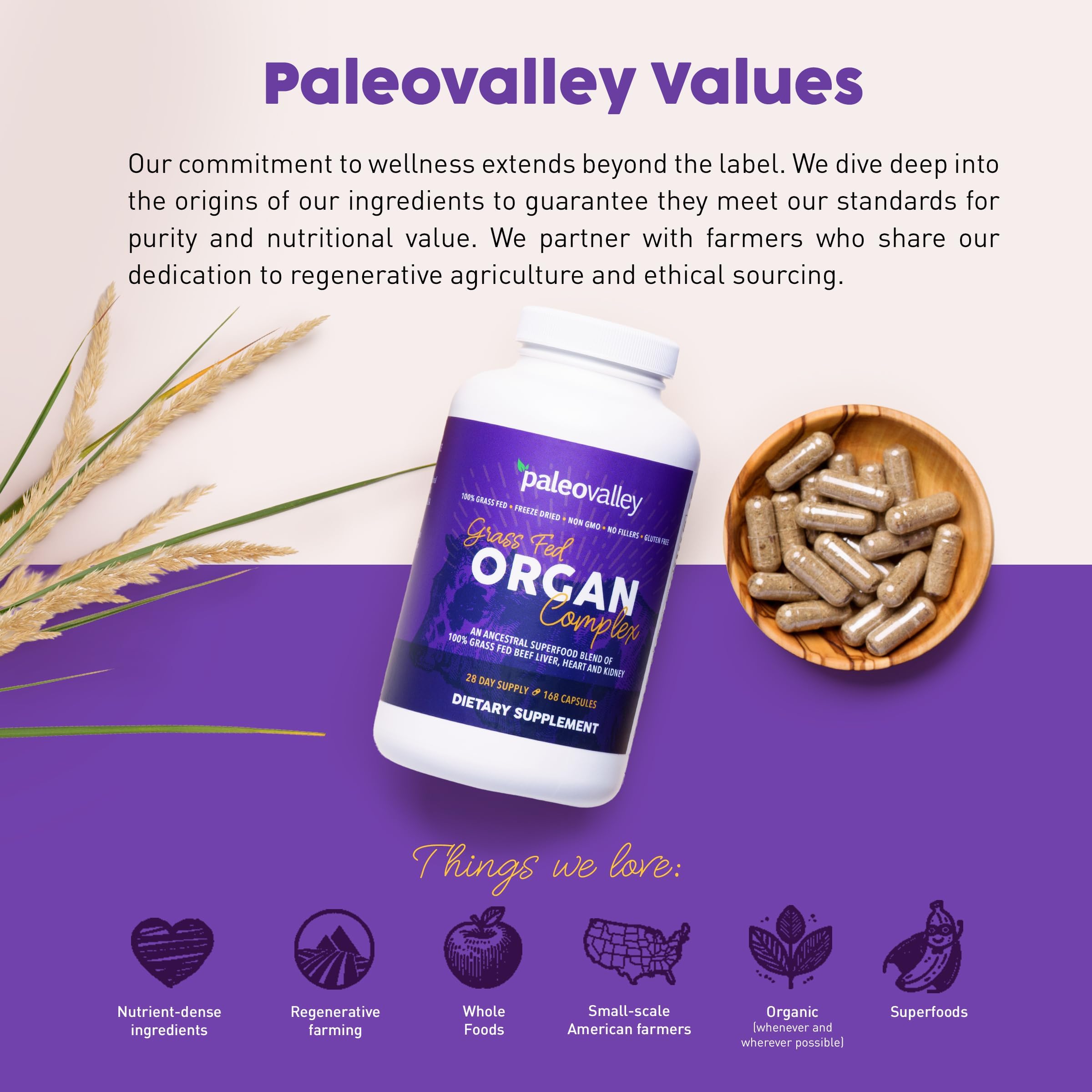 Paleovalley frascos apilados para comparar tamaño y cantidad de servicio