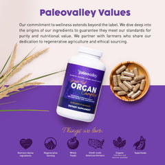 Paleovalley frascos apilados para comparar tamaño y cantidad de servicio