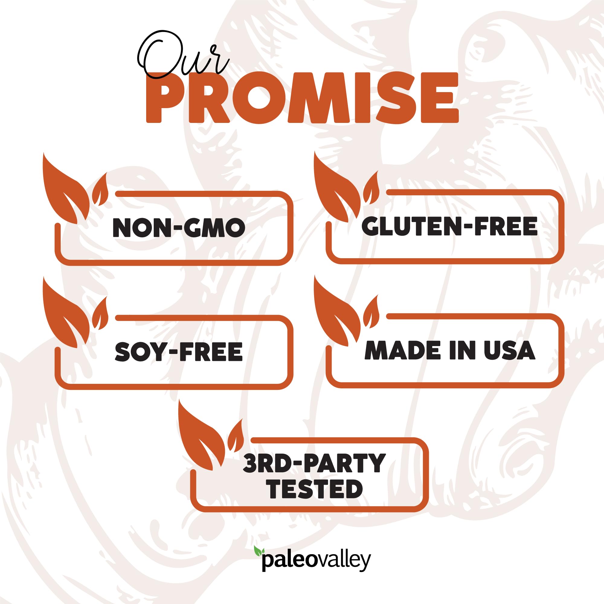 Paleovalley cápsulas en cocina junto a alimentos saludables para contexto diario