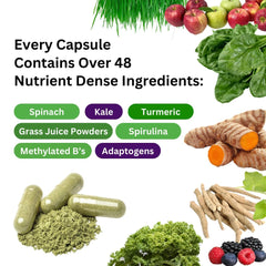 Paradise Herbs cápsula en mano para comparar tamaño y dosificación cómoda