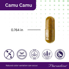 Frutos y polvo de camu camu Paradise Herbs como materia prima