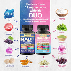 Parrox Conjunto Juventud Eterna: resveratrol y melena de león visual, posible enfoque diario