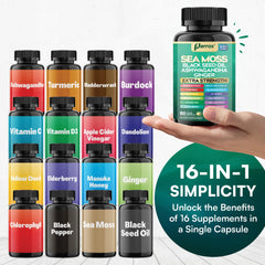 Parrox curcuma cápsulas para apoyo ligero de bienestar