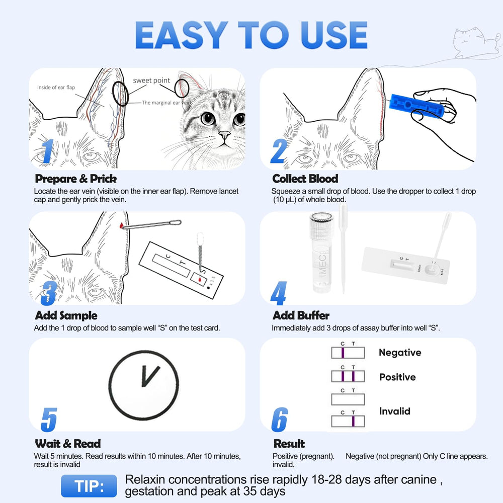 PawsXfun tubos y solución buffer listos para preparar la muestra con precisión