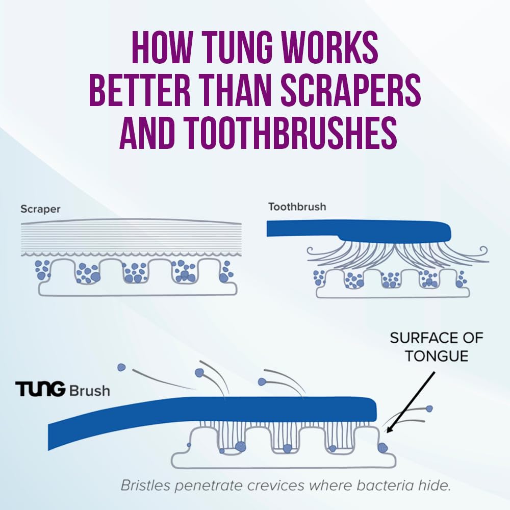 Peak Essentials TUNG Brush con tapas protectoras, listo para viajar
