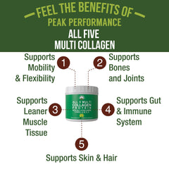 Ingredients chart for Peak Performance All 5 collagen types I–X