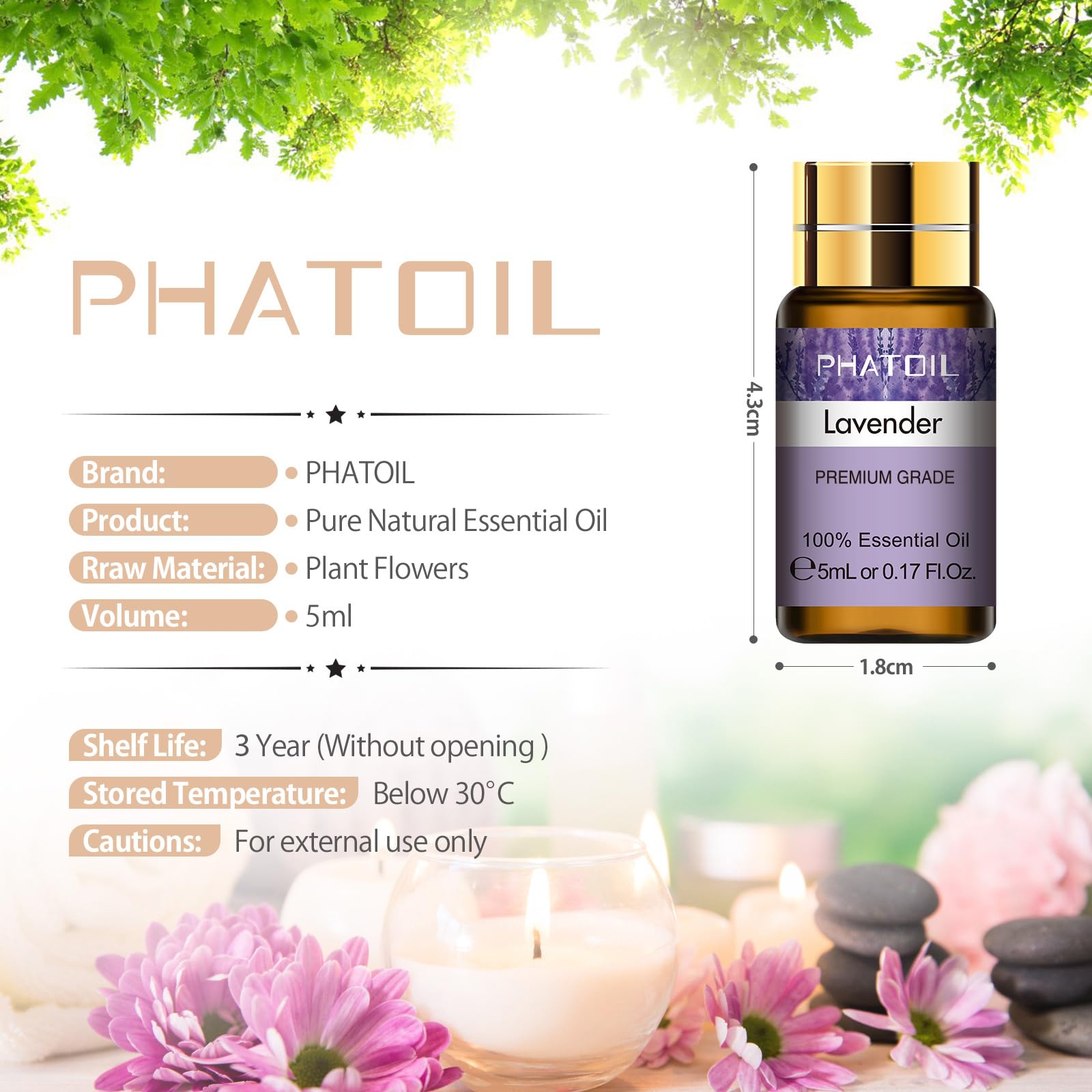 PHATOIL frascos junto a monedero para ver escala y portabilidad práctica