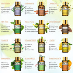 PHATOIL frascos 5ml con etiquetas legibles y dosificación precisa
