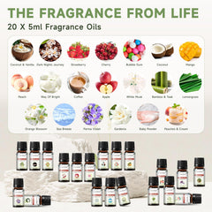 PHATOIL frascos etiquetados 5 ml mostrando nombres de fragancias, fácil identificación