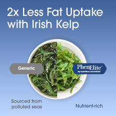 Phenelite ingredientes vegetales como té verde y kelp para termogénesis