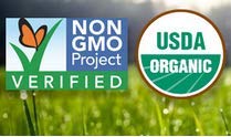 Pines pasto de trigo tabletas al lado de una moneda para mostrar tamaño y porción