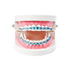 PKRFCJ brackets en modelo dental para prácticas y mejor comprensión