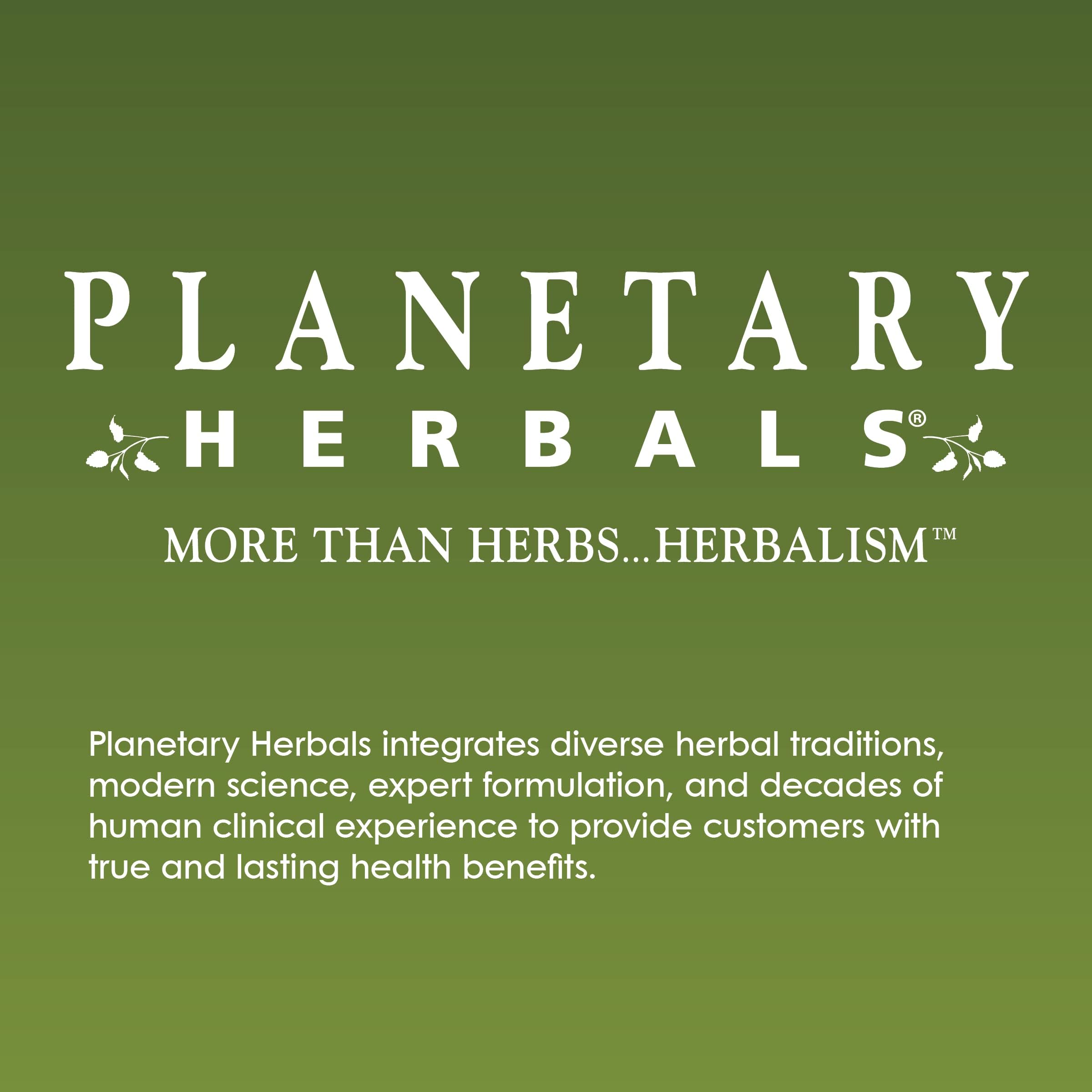 Uso cotidiano: frasco Planetary Herbals Triphala sobre encimera de cocina promoviendo bienestar digestivo