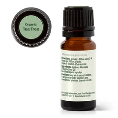 Plant Therapy botella junto a hojas de Melaleuca origen natural