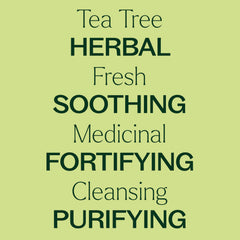 Plant Therapy aceite en difusor ambientando habitación con aroma fresco