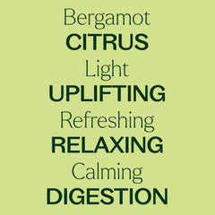 Plant Therapy aceite de bergamota en difusor creando ambiente fresco