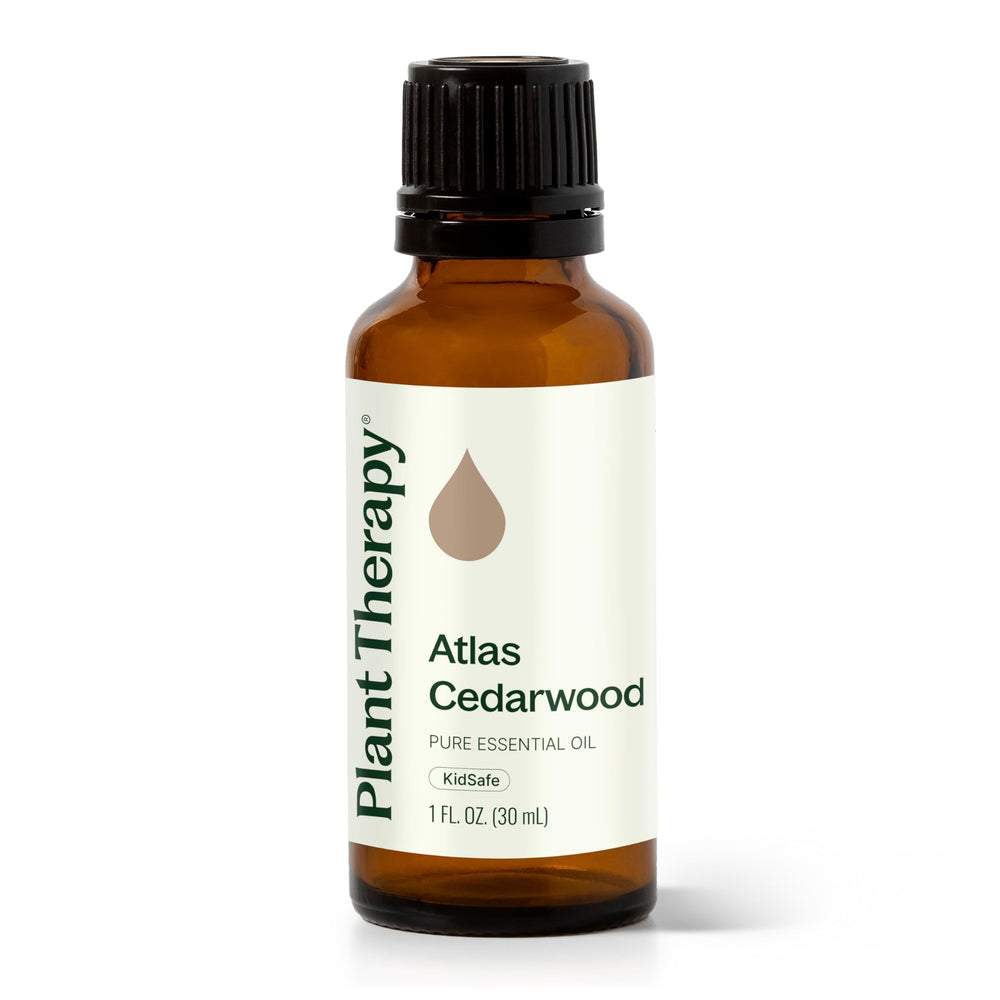 Plant Therapy botella frontal de Cedro Atlas 30 mL, presentación clara y profesional