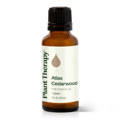 Plant Therapy botella frontal de Cedro Atlas 30 mL, presentación clara y profesional