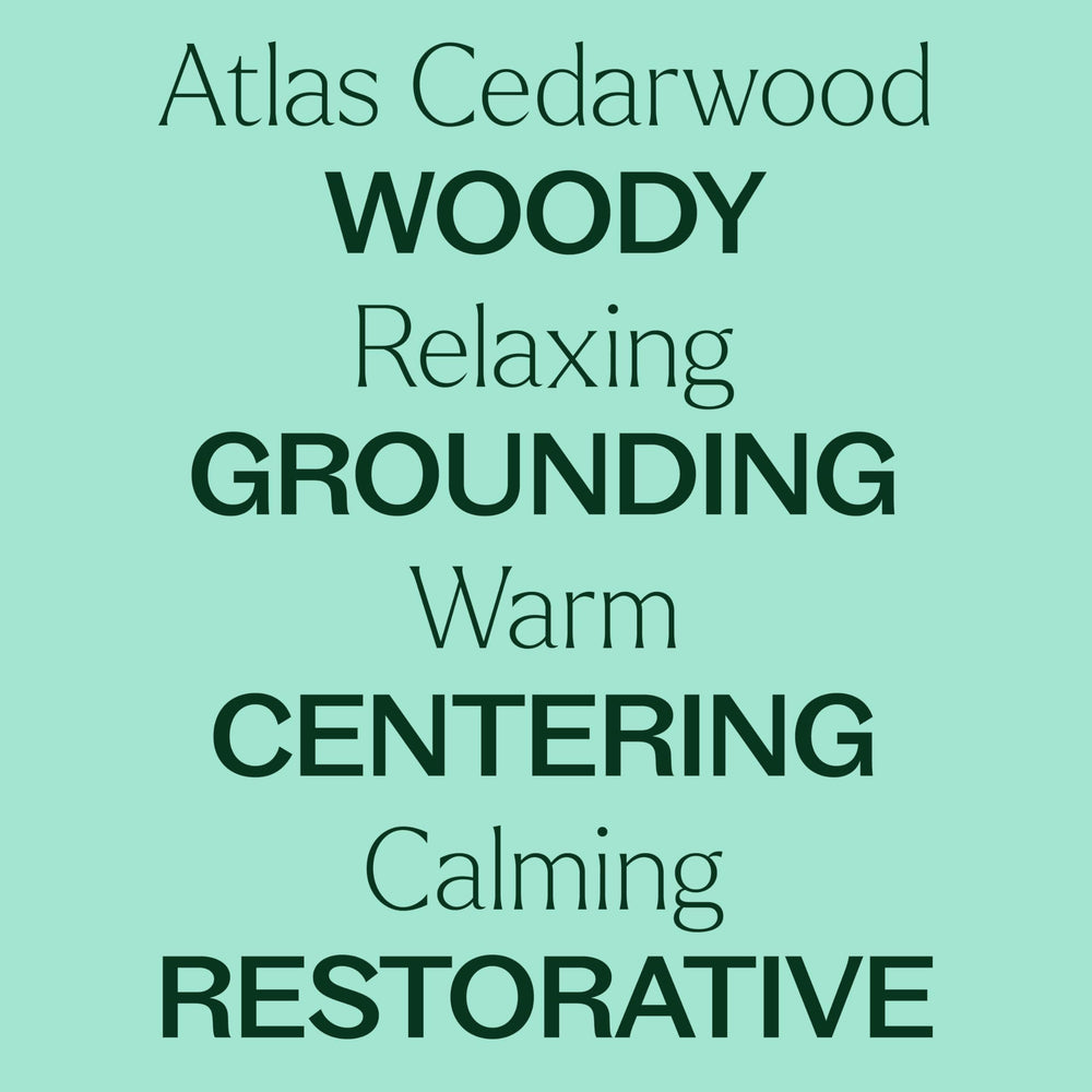 Plant Therapy aceite Cedro Atlas en difusor, aroma amaderado creando ambiente acogedor