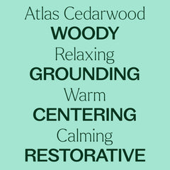 Plant Therapy aceite Cedro Atlas en difusor, aroma amaderado creando ambiente acogedor