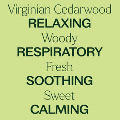 Plant Therapy aceite de cedro en difusor generando vapor para crear ambiente relajante
