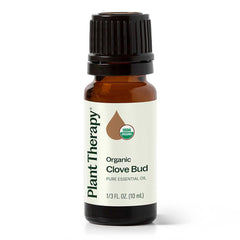 Plant Therapy botella 10 mL junto a regla para comparar tamaño