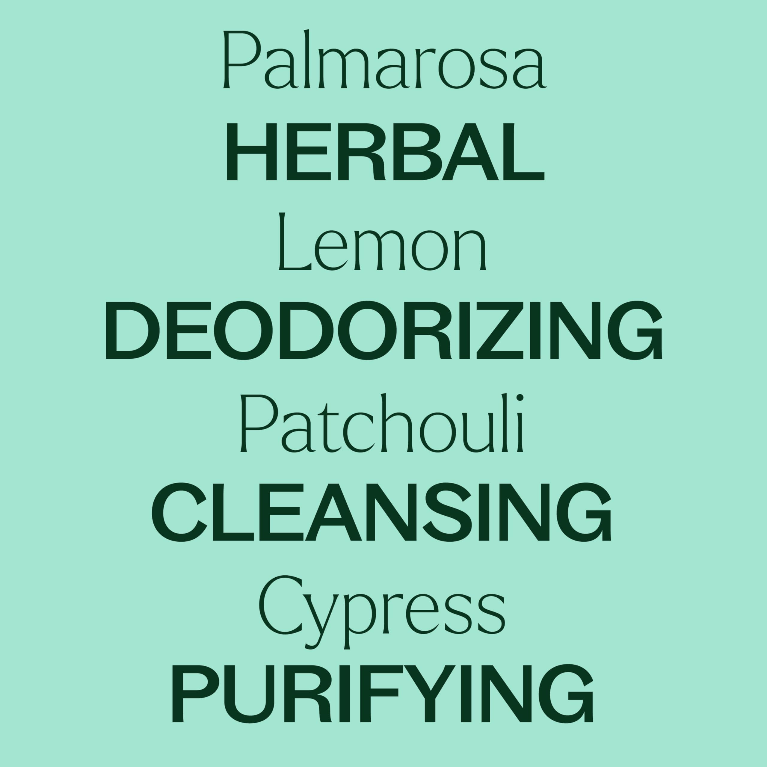 Comparación de tamaño del frasco Plant Therapy 30 mL para referencia