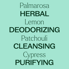 Comparación de tamaño del frasco Plant Therapy 30 mL para referencia