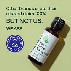Plant Therapy aceite en difusor mostrando ambiente fresco y relajante
