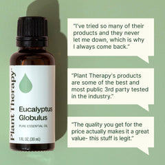 Plant Therapy etiqueta legible con nombre Eucalyptus Globulus y beneficios aromáticos