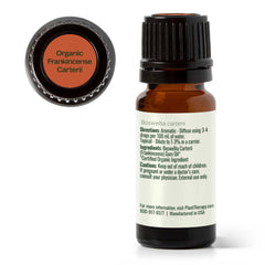 Plant Therapy aceite de incienso Carteri en escena de meditación para ambiente sereno