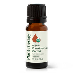 Plant Therapy frasco junto a regla para comparar tamaño y capacidad de 10 mL