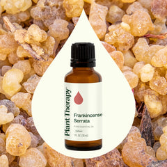 Plant Therapy mezcla con aceite portador lista para uso tópico seguro