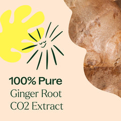 Plant Therapy primer plano de textura y color del aceite resaltando pureza