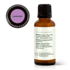 Plant Therapy ambiente relajado con lavanda para mejorar descanso nocturno