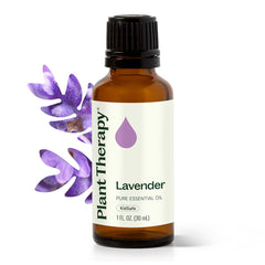 Plant Therapy botella frontal de lavanda mostrando presentación de 30 mL y pureza