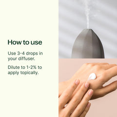 Plant Therapy botella de 30 mL junto a objetos para mostrar escala real
