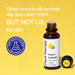 Plant Therapy botella junto a regla para comparación de tamaño
