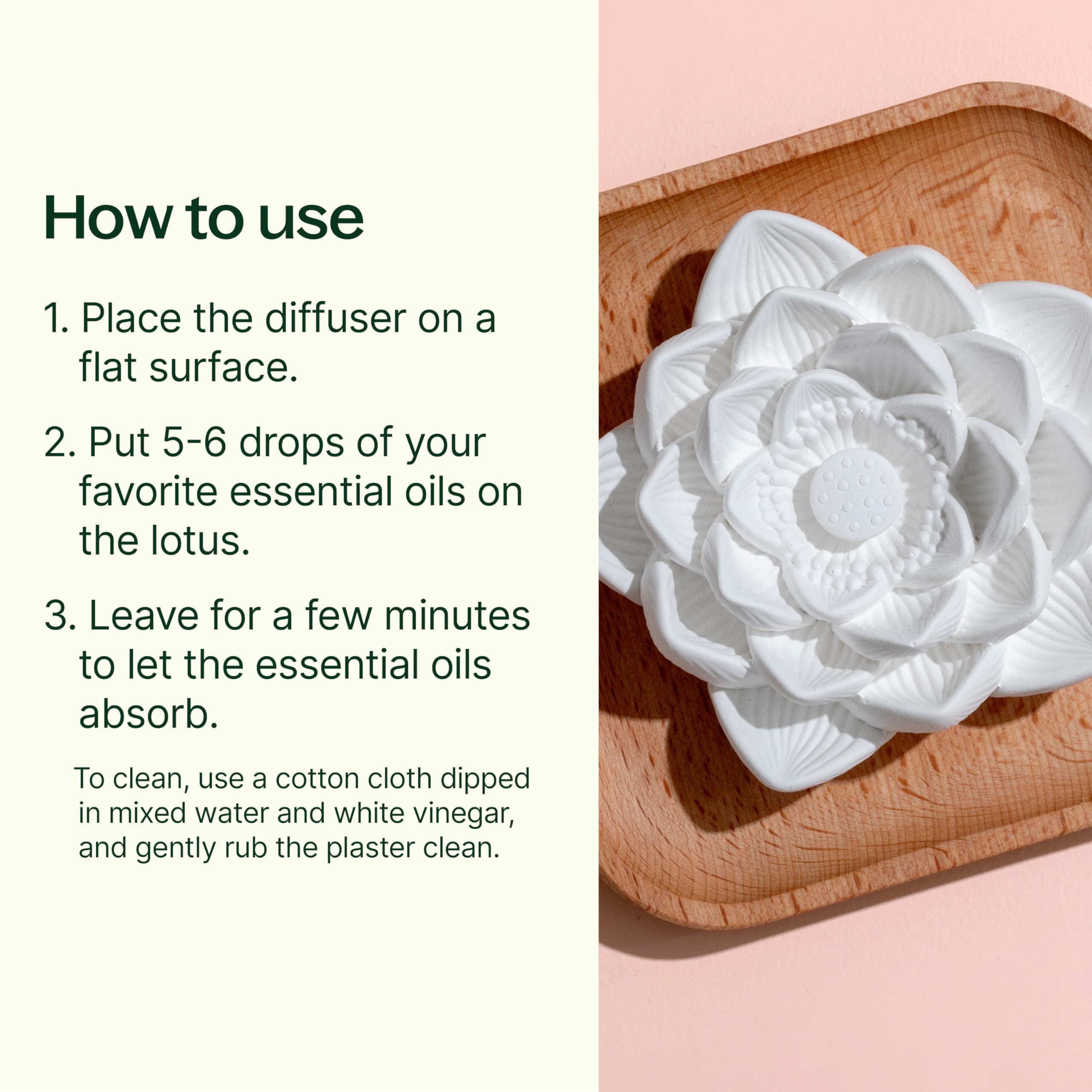 Plant Therapy detalle textura de yeso poroso que absorbe aceites